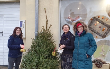 Distribution des sapins et décorations de noel