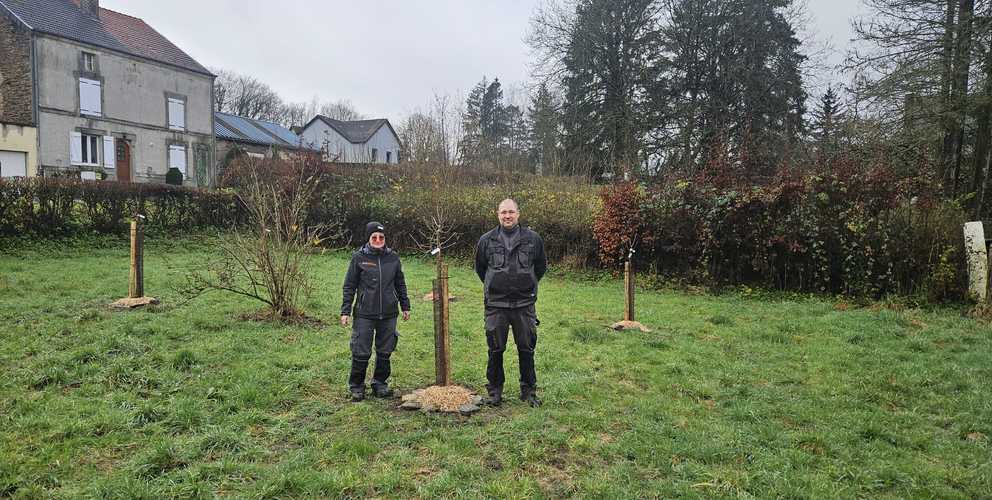 Plantation d'arbres fruitiers