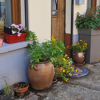 Remise des prix des Maisons Fleuries : un village toujours plus accueillant ! Remise des prix des Maisons Fleuries : un village toujours plus accueillant !