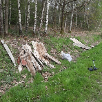 Nettoyons notre forêt Nettoyons notre forêt