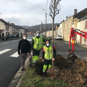 Plantation des arbres Route de Pussemange