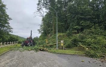 Mise en sécurité des talus