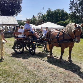 Journée champêtre