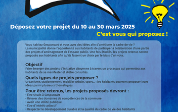 Réunion d'information : Budget participatif