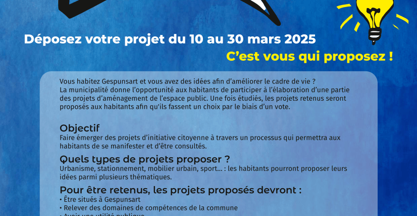 Réunion d'information : Budget participatif