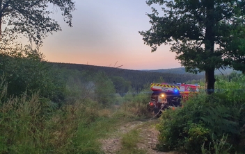 Feu de forêt