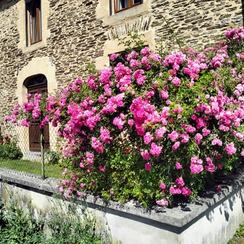Remise des prix des Maisons Fleuries : un village toujours plus accueillant ! Remise des prix des Maisons Fleuries : un village toujours plus accueillant !