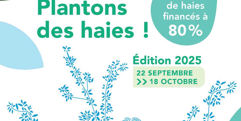 Plantons des haies 2025