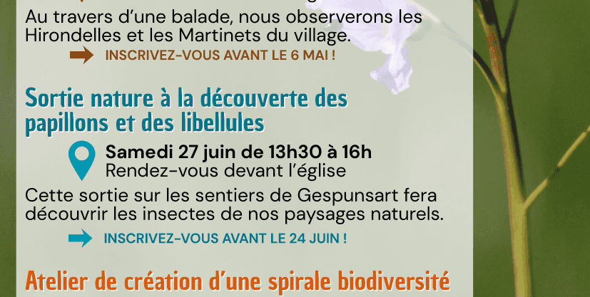 ABC de la Biodiversité