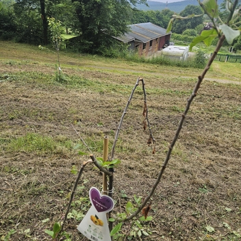 Actes de vandalisme Actes de vandalisme