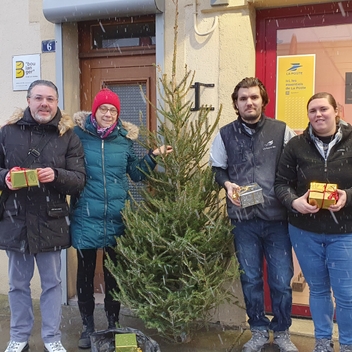 Distribution des sapins et décorations de noel