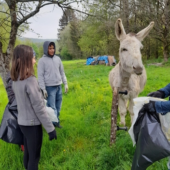 Nettoyons notre forêt Nettoyons notre forêt