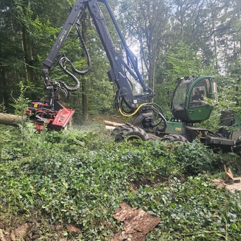 Travaux forestiers Travaux forestiers