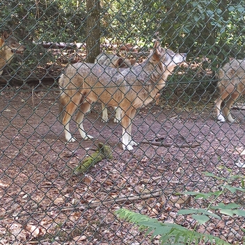 Sortie des écoliers au Parc Argonne Découverte