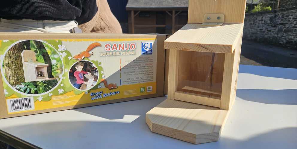 ABC Gespunsart : accueillir les écureuils dans son jardin
