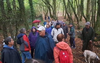 Balade gourmande : une belle parenthèse conviviale