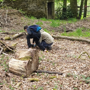 Opération “Nettoyons la forêt”