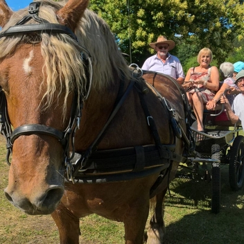 Journée champêtre