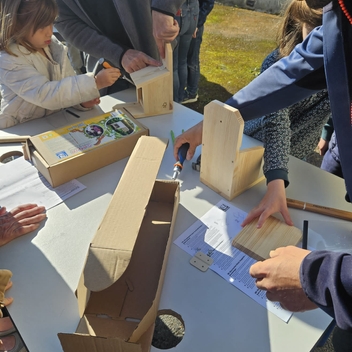ABC Gespunsart : accueillir les écureuils dans son jardin