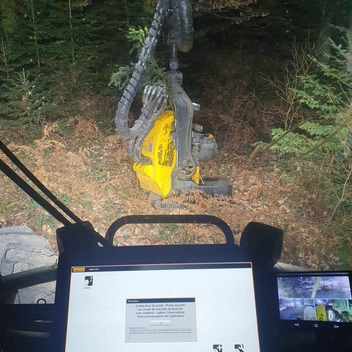 Exploitation en cours de la coupe d'épicéas en éclaircie parcelle 24 Exploitation en cours de la coupe d'épicéas en éclaircie parcelle 24