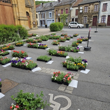Commande de fleurs Commande de fleurs