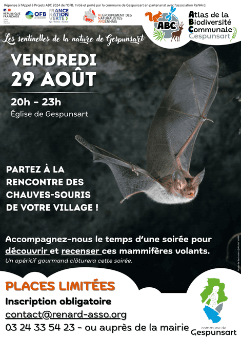 A la rencontre des chauves-souris