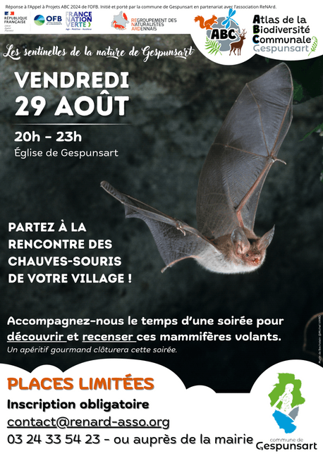A la rencontre des chauves-souris