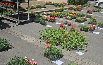 Un beau succès pour la commande groupée de fleurs !