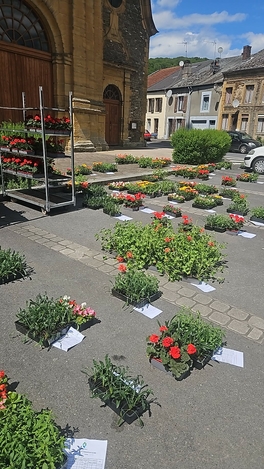 Un beau succès pour la commande groupée de fleurs !