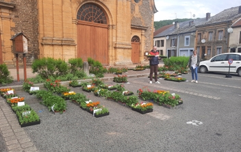 Opération achat groupé de fleurs