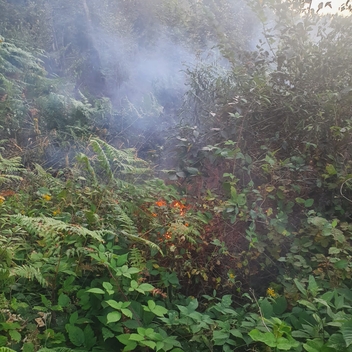 Feu de forêt à Gespunsart Feu de forêt à Gespunsart