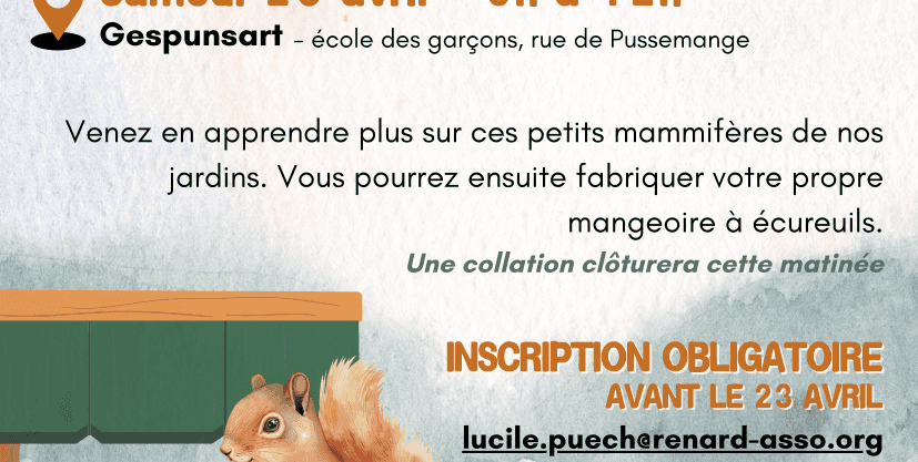 Animation bricolage : fabrication d'un mangeoire à écureuil