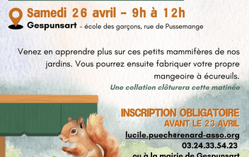Animation bricolage : fabrication d'un mangeoire à écureuil