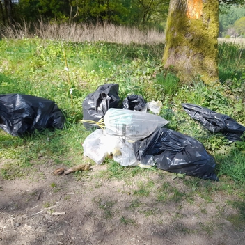 Nettoyons notre forêt Nettoyons notre forêt