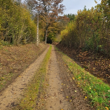 Chemin de Hachet Nettoyage chemin de Gespunsart