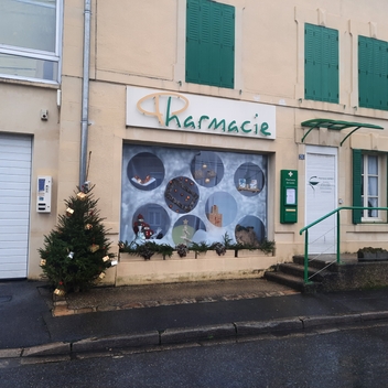 Maisons décorées pour Noel