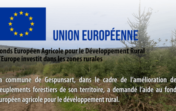 Aide de l’Union Européenne pour les peuplements forestiers