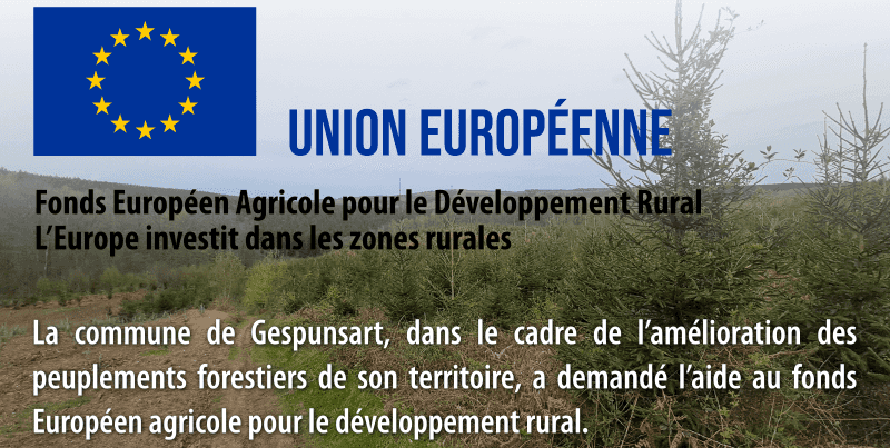Aide de l’Union Européenne pour les peuplements forestiers