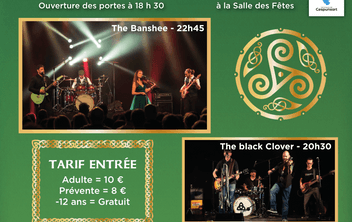 Concert Rock celtique