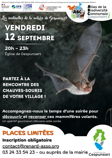 A la rencontre des chauves-souris