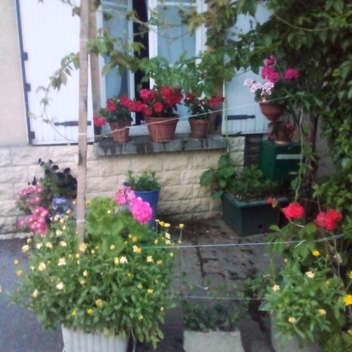 Maisons fleuries Maisons fleuries