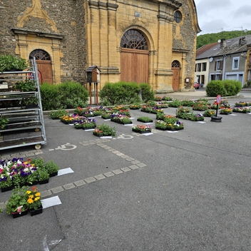 Commande de fleurs Commande de fleurs