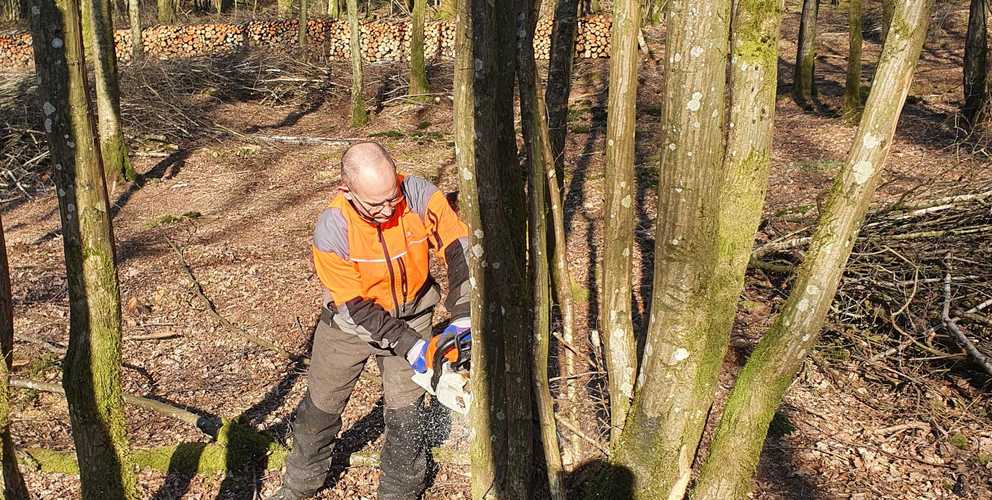 Visite de contrôle de la parcelle d'affouage