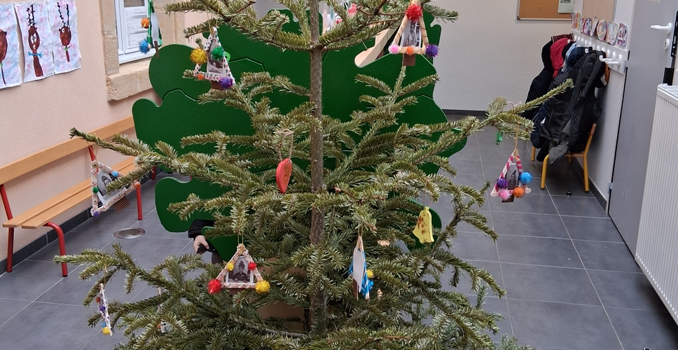 Distribution de sapins