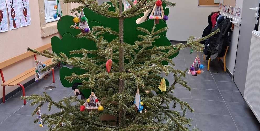 Distribution de sapins